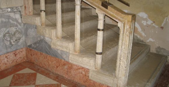 Museo di Storia Naturale – Venezia