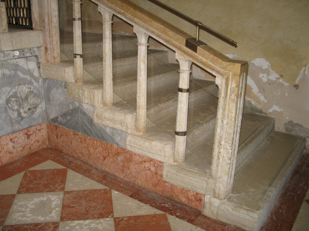 Museo di Storia Naturale – Venezia
